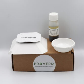 Poison-free bed bug trap – Detection pack (2 traps)